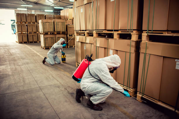 Best Pest Control Near Me  in Swisher, IA