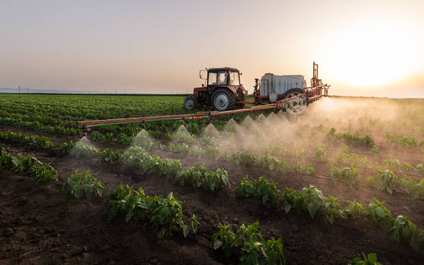 Best Cockroach Control Services  in Swisher, IA