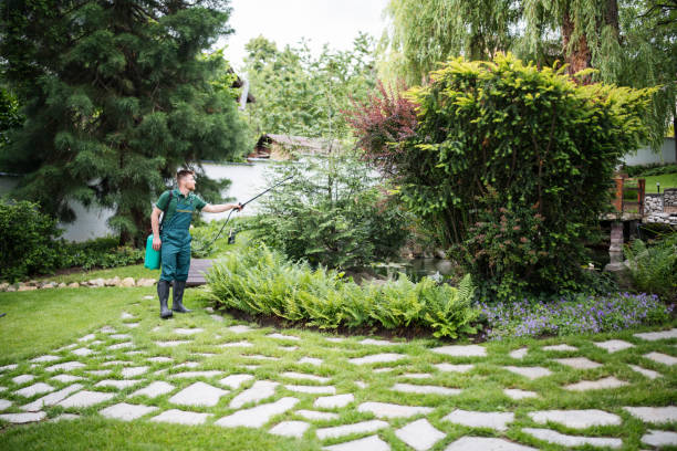 Trusted Swisher, IA Pest Control Experts