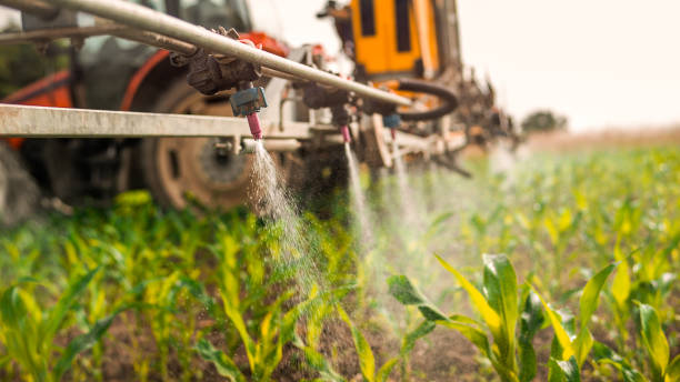 Best Best Pest Control Companies  in Swisher, IA
